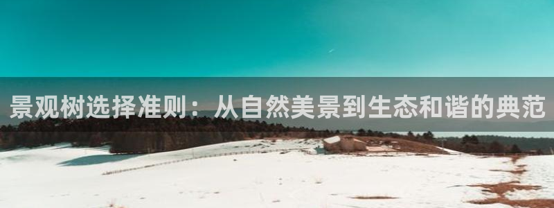 卧龙台球娱乐会所地址