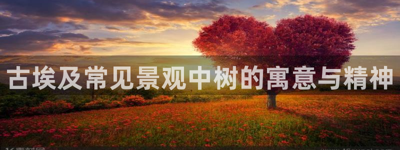 卧龙娱乐注册登录