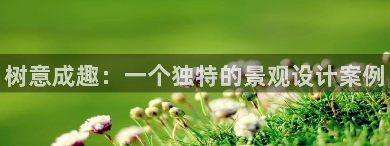 卧龙沟娱乐场：树意成趣：一个独特的景观设计案例