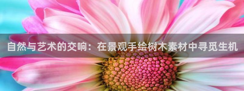 卧龙娱乐招商代理是谁：自然与艺术的交响：在景观手绘树木素材中寻觅生机