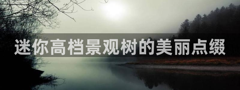 卧龙娱乐后