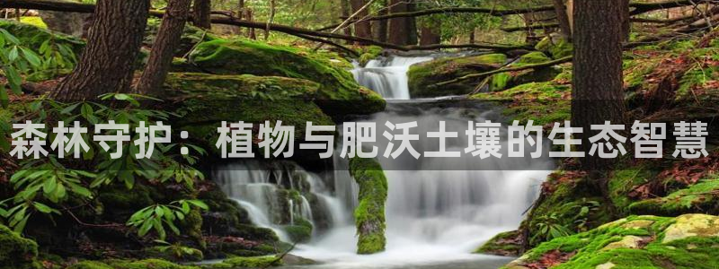 卧龙沙滩娱乐