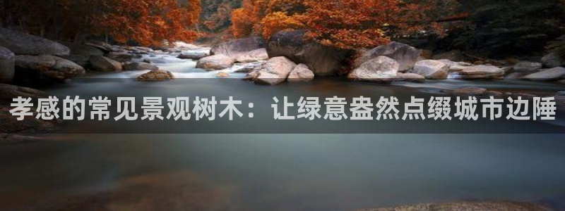 卧龙2娱乐