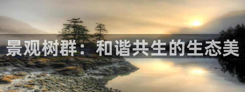 卧龙凤锄娱乐