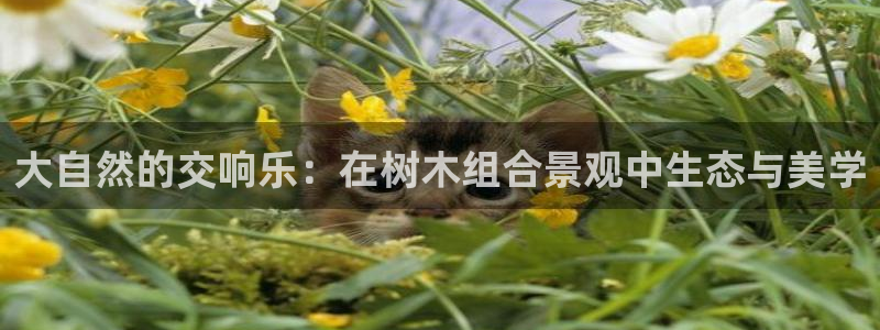 SKY娱乐 卧龙主管60447：大自然的交响乐：在树木组合景观中生态与美学