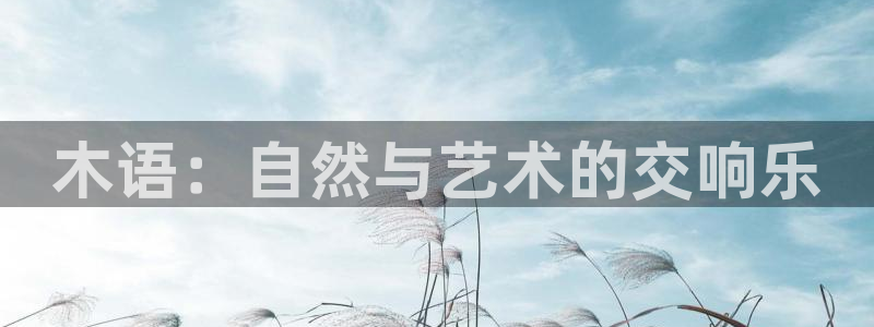 卧龙休闲娱乐推荐：木语：自然与艺术的交响乐