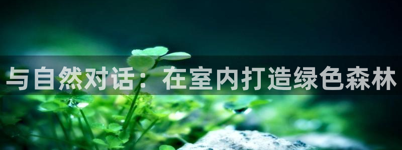 HR娱乐卧龙主管60447