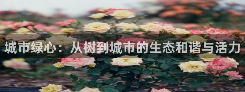 卧龙娱乐彩票怎么玩：城市绿心：从树到城市的生态和谐与活力