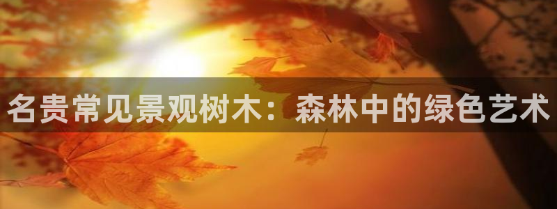 卧龙区休闲娱乐