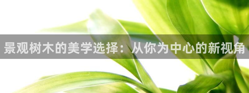 卧龙娱乐 找86555:景观树木的美学选择:从你为中心的新视角