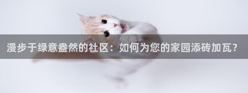 卧龙区微微娱乐商城