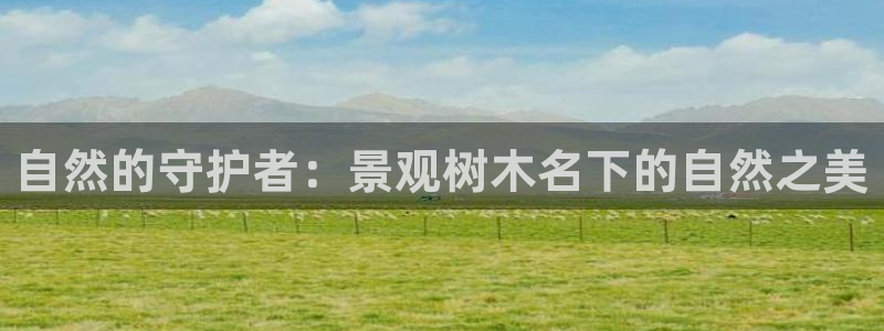 卧龙桥休闲娱乐园