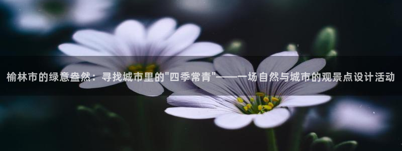 卧龙港休闲娱乐会所