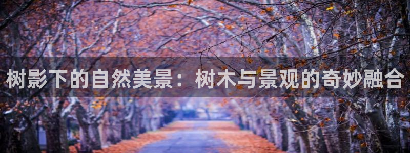 卧龙谷娱乐：树影下的自然美景：树木与景观的奇妙融合