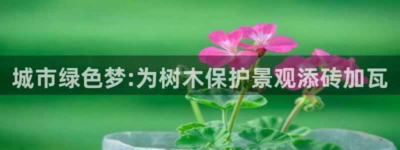 卧龙湾娱乐项目有哪些：城市绿色梦:为树木保护景观添砖加瓦